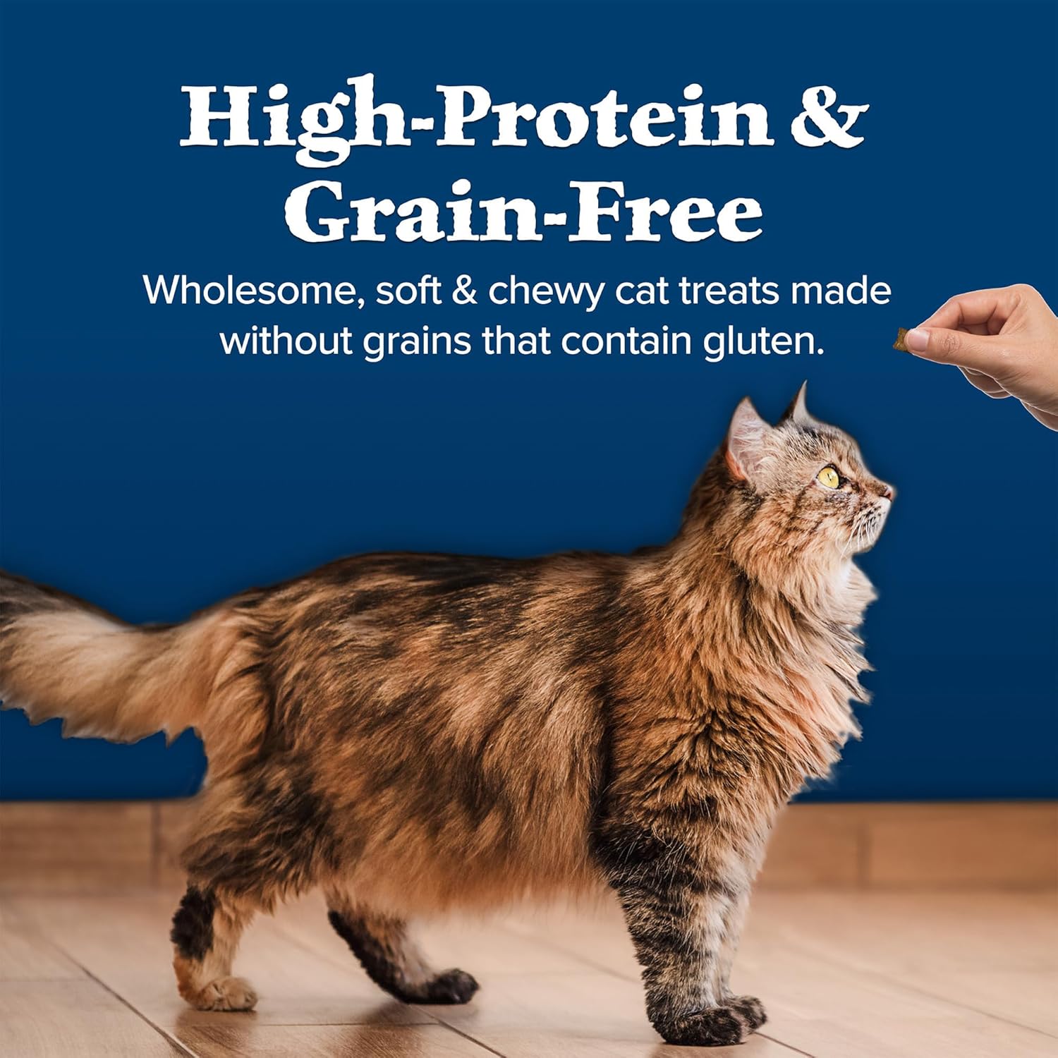 Blue Buffalo Wilderness Soft Cat Treats, Grain-Free and Protein-Rich, Great for Training, Chicken & Turkey Recipe, 2-oz. Bag - Image 6