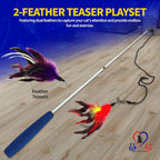 Red feather attachment option for the interactive pet fitness teaser.
