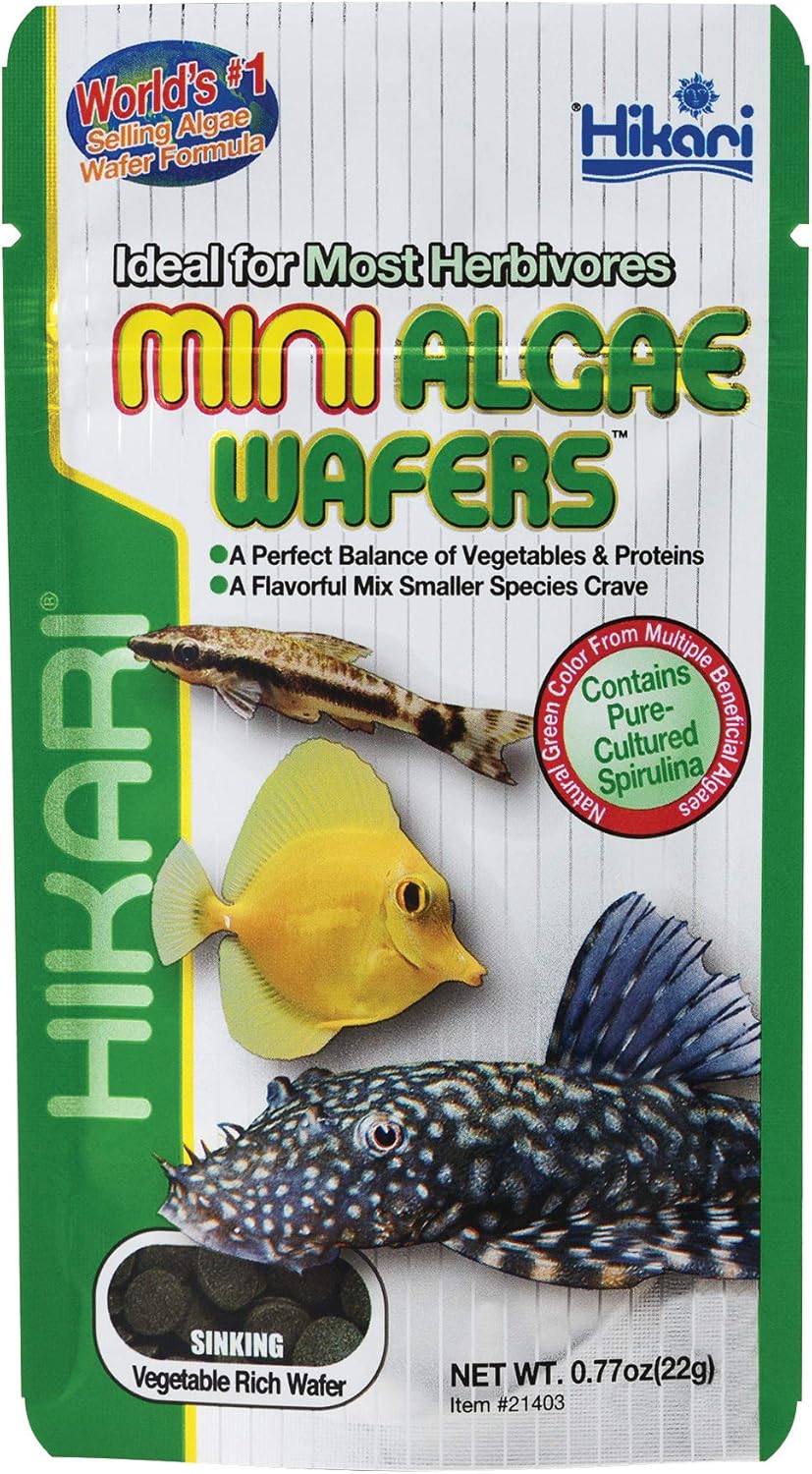 Hikari Mini Algae Wafers 0.77 Ounce front view