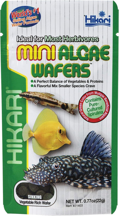 Hikari Mini Algae Wafers 0.77 Ounce front view