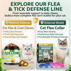 YOTANGO Cat Flea Treatment Crunchy & Creamy Chewables, 500 Chews Natural Flea and Tick Prevention for Cats + Skin and Coat Support, Daily Oral Supplement Chewables for Cats and Kittens (Salmon Flavor) - Image 10