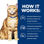 Adult cat enjoying urinary care wet food