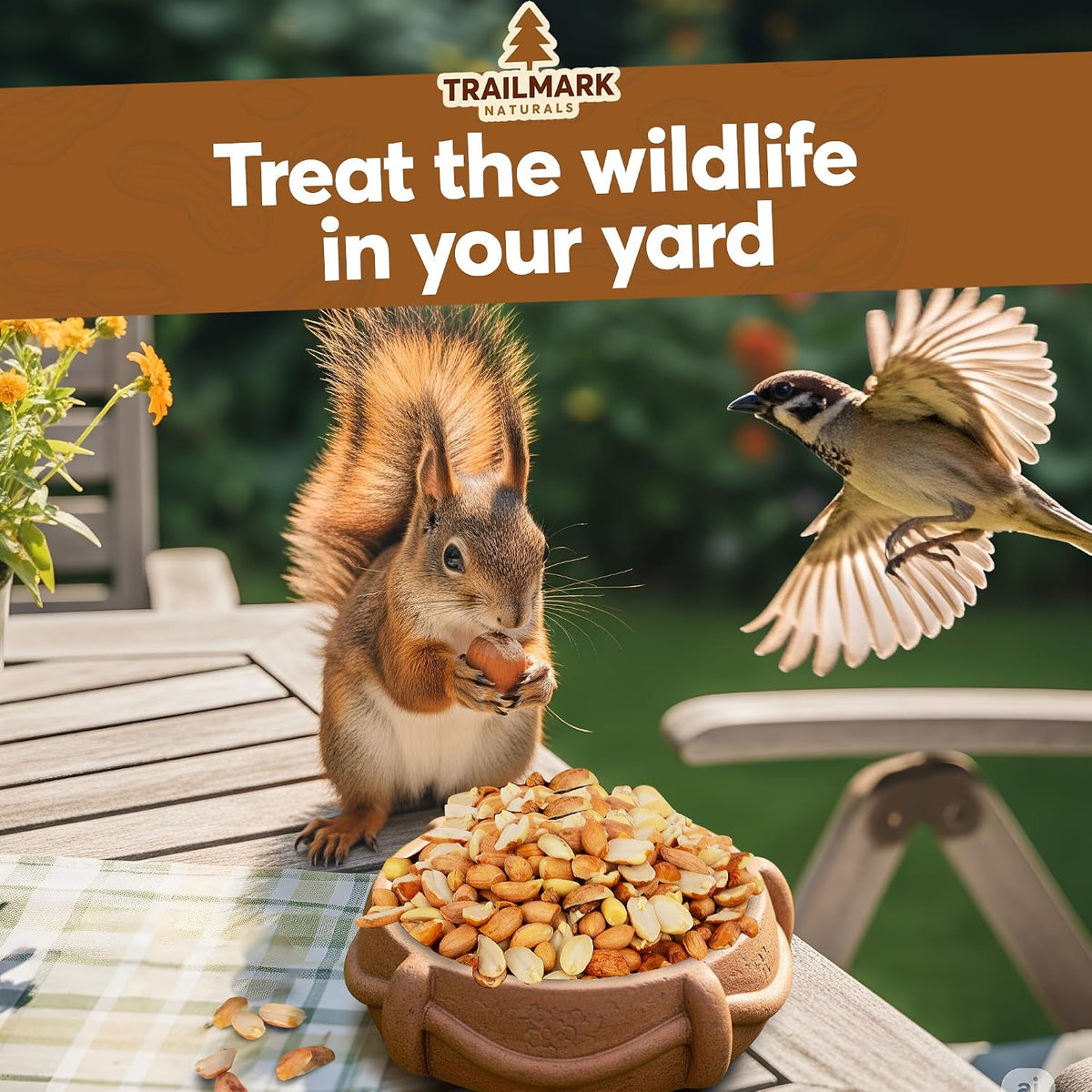 Backyard bird feeder filled with raw shelled peanut wildlife feed