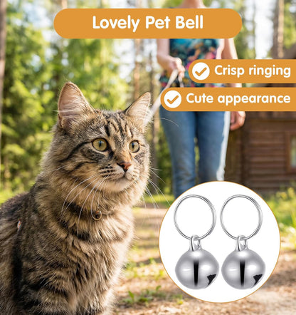 Six pack small pet collar pendant accessories in polished silver stainless steel finish