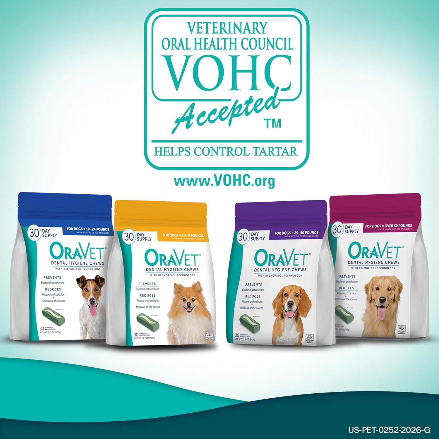 Premium poultry and vanilla flavored OraVet dental treats for medium dogs lifestyle shot
