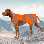 Detailed view of reflective silver strips on dog vest