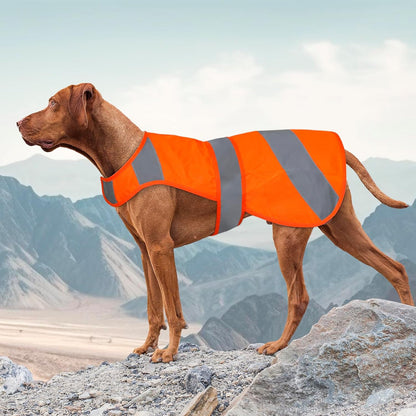 Detailed view of reflective silver strips on dog vest