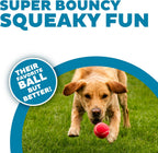 Outward Hound interactive squeaky tennis balls in bright blue green and pink shades