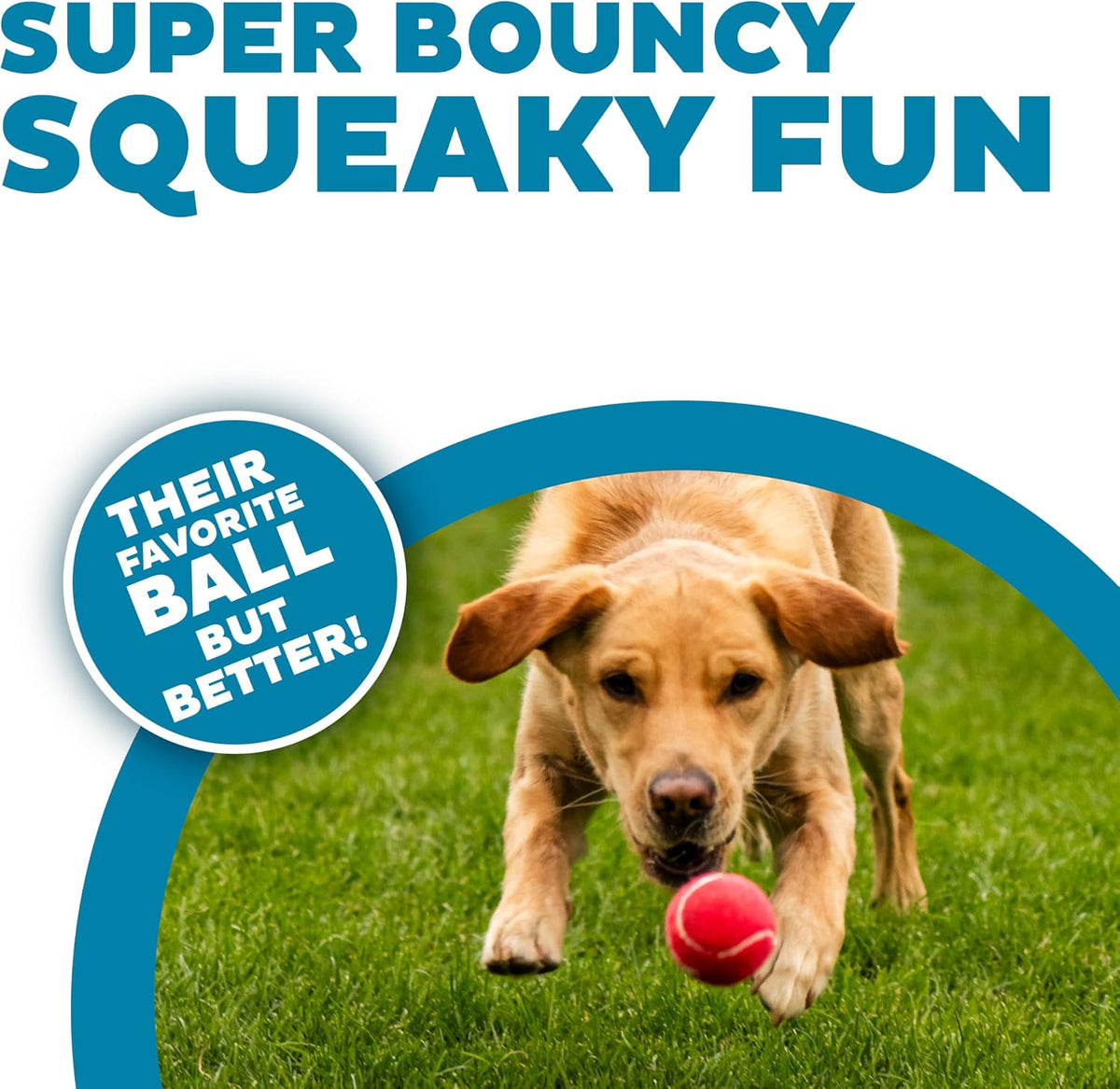 Outward Hound interactive squeaky tennis balls in bright blue green and pink shades