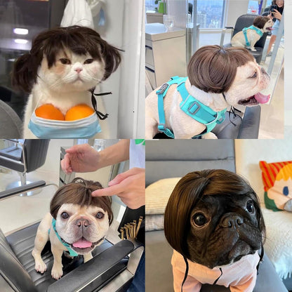 Lamiaraga brown bob haircut wig for large and small pets