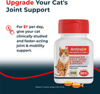 Antinol Plus green lipped mussel and krill oil soft gel