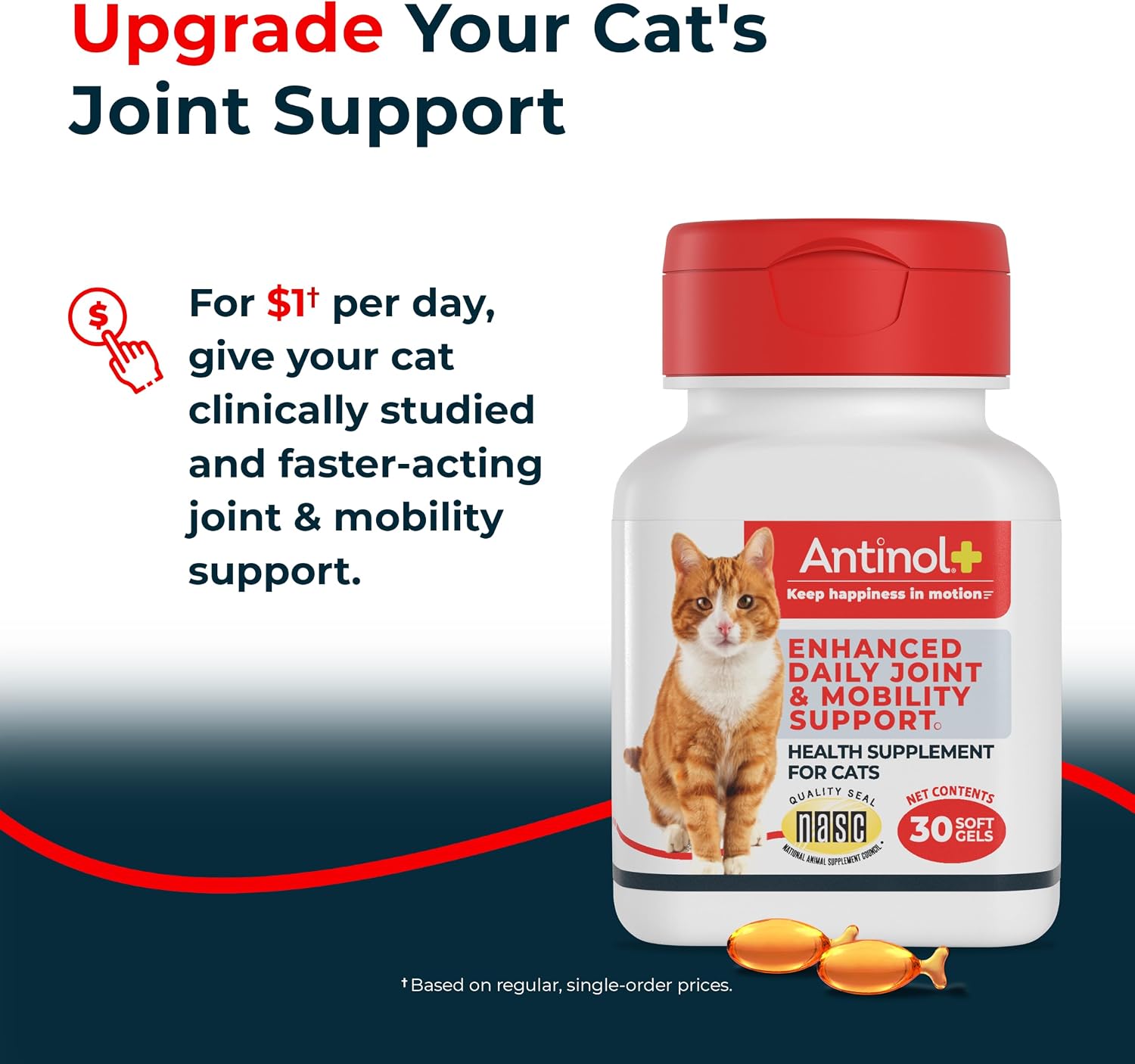 Antinol Plus green lipped mussel and krill oil soft gel