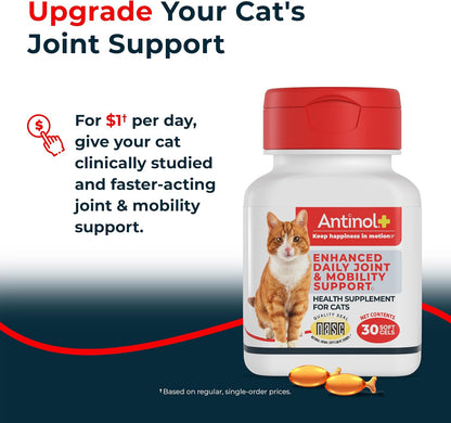 Antinol Plus green lipped mussel and krill oil soft gel