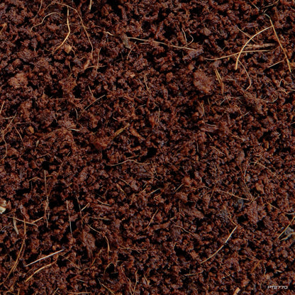 Natural tropical reptile substrate expanding in water.