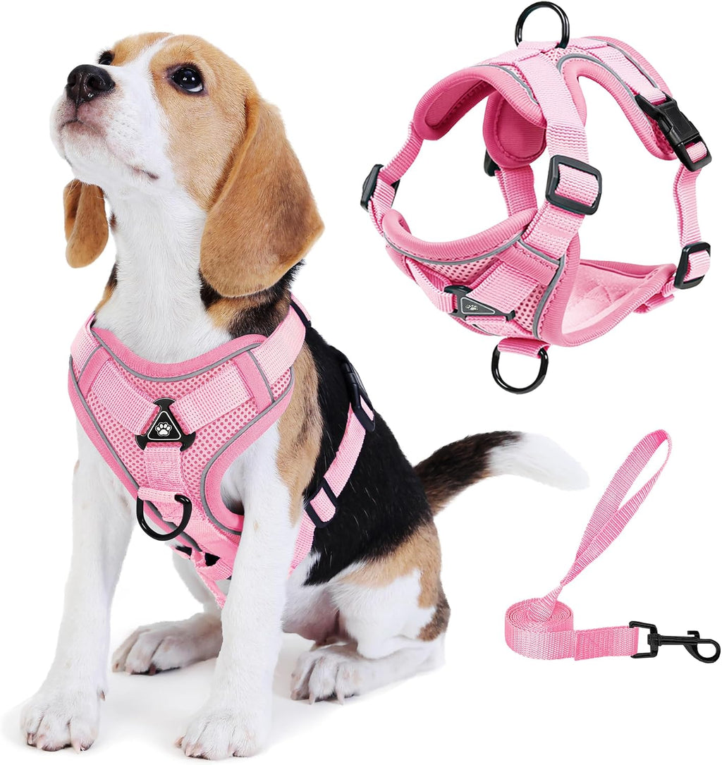 No Pull Dog Harness with Leash Set for Small Sized Dog, Reflective Adjustable No Choke Front Clip Cat Vest Harness with Breathable Mesh, Comfortable Soft Padded Pet Vest, Blue S - Image 10