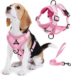 No Pull Dog Harness with Leash Set for Small Sized Dog, Reflective Adjustable No Choke Front Clip Cat Vest Harness with Breathable Mesh, Comfortable Soft Padded Pet Vest, Blue S - Image 10