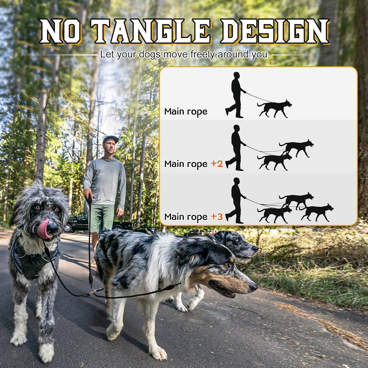 Reflective safety stitching detail on the Mengbei Tribe multi-pet training leash.
