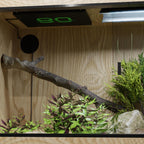 ReptiRad 125 Watt overhead habitat heater packaging and certification details
