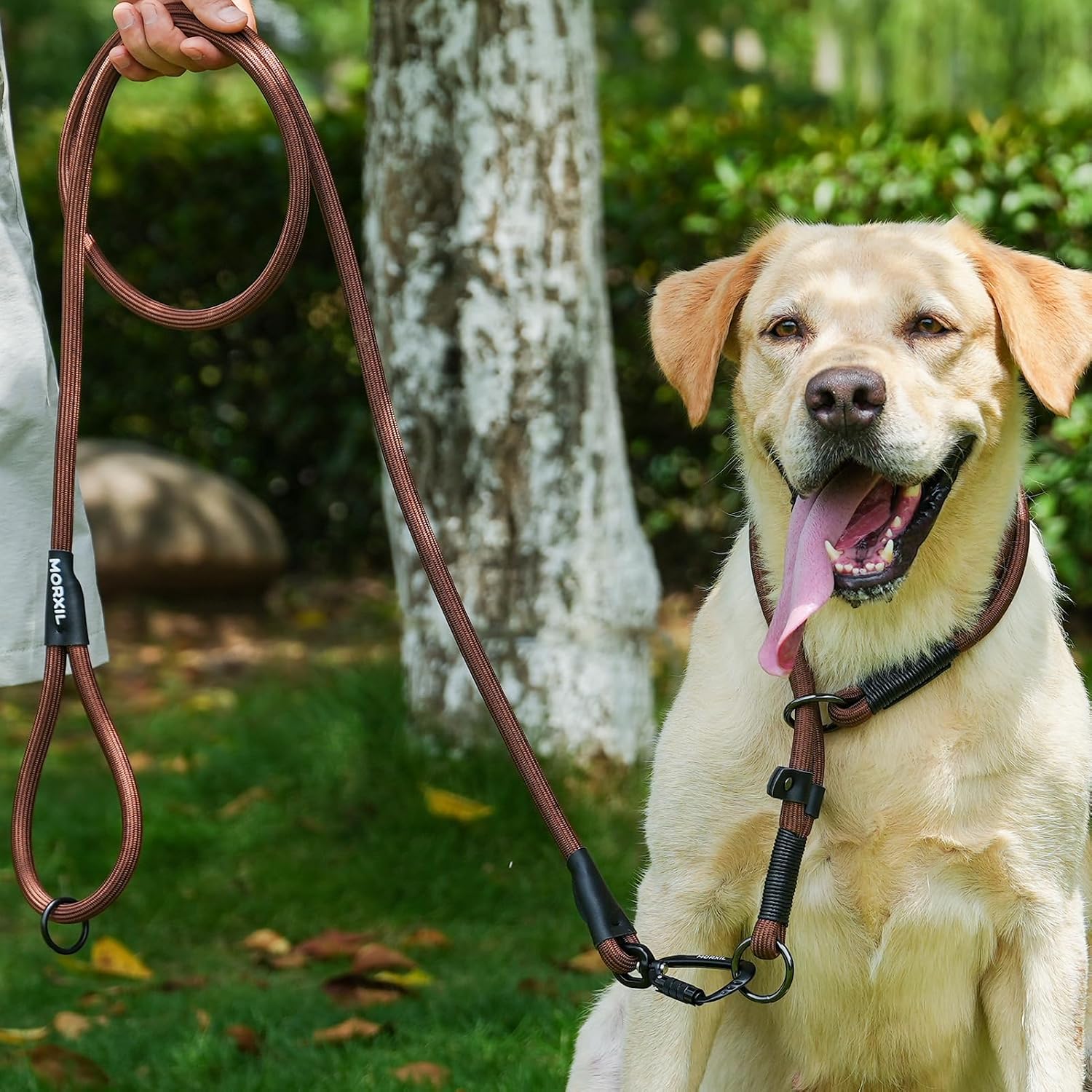 Premium imported Morxil climbing rope leash for medium dogs