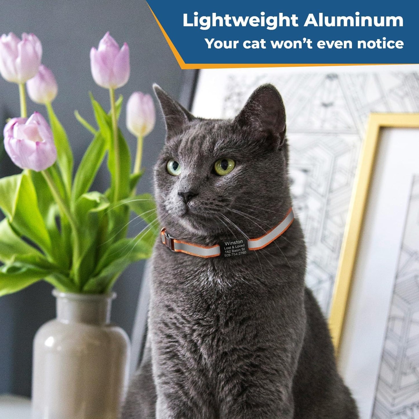 Side angle of GoTags reflective pink cat collar demonstrating flexible comfort material