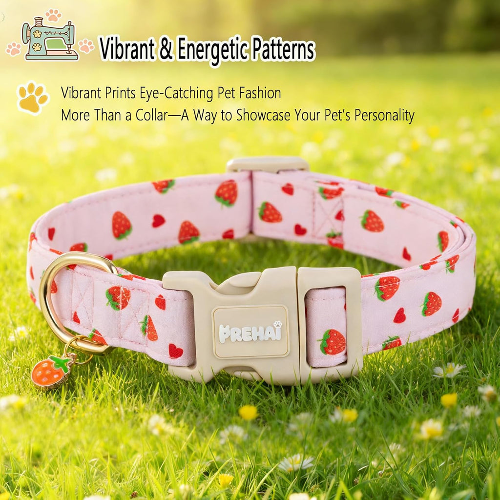 Metal D-ring Hardware For Leash Attachment On Sweet Spring Dog Collar