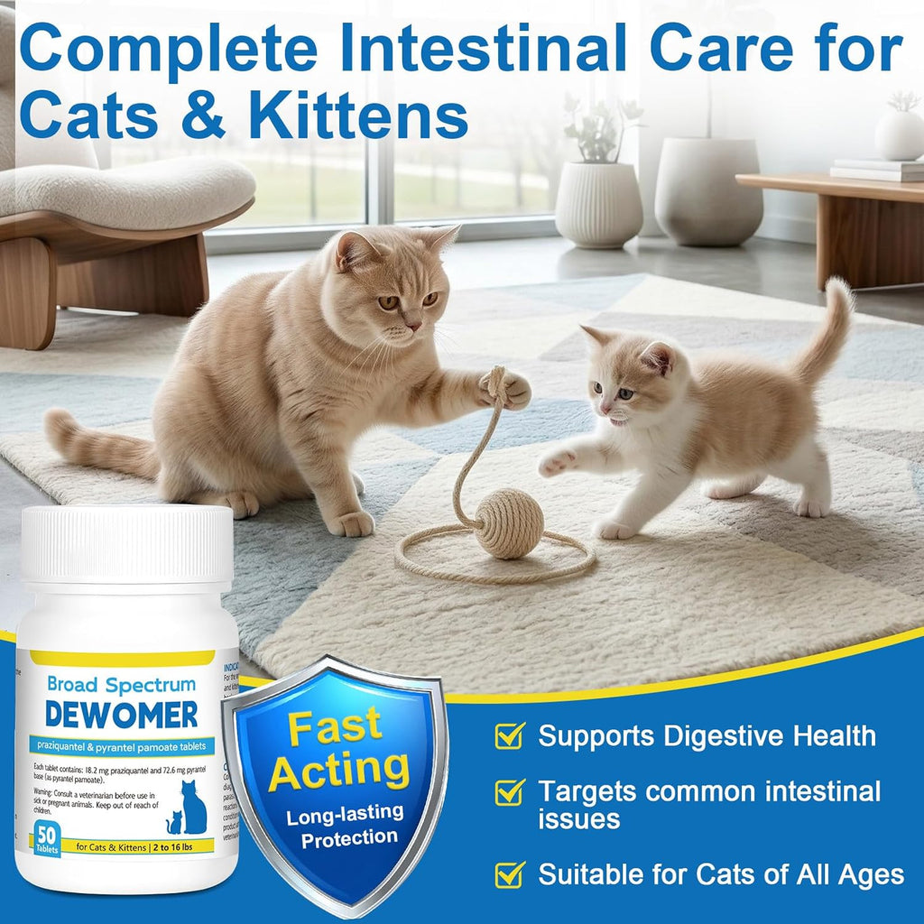 Veterinary deworming pills for kittens showing packaging and tablet count