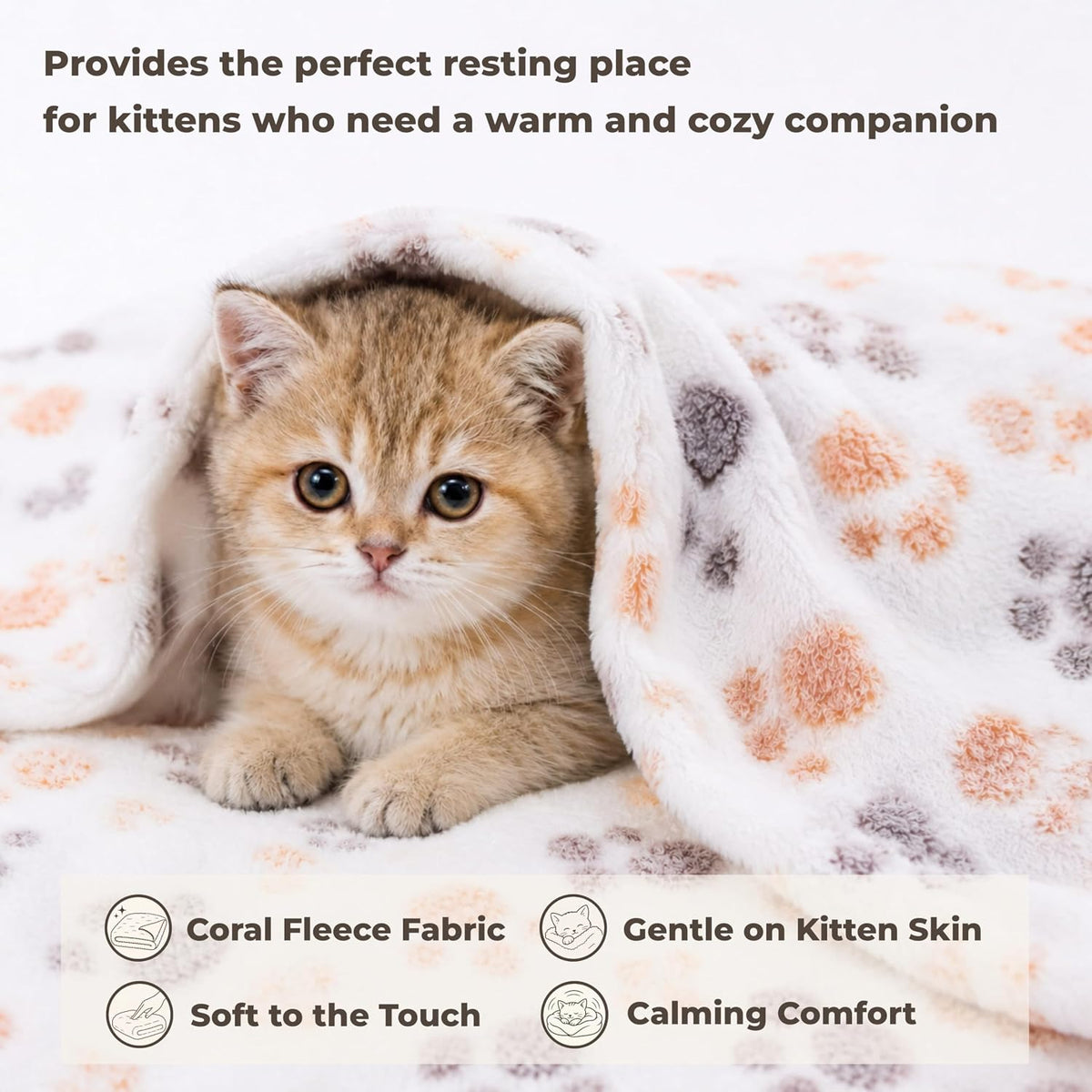 Lfory small cat blankets inside a plastic travel carrier