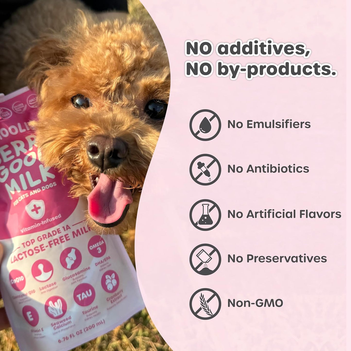Choolip pet milk ingredients list highlighting omega 3 coq10 and taurine