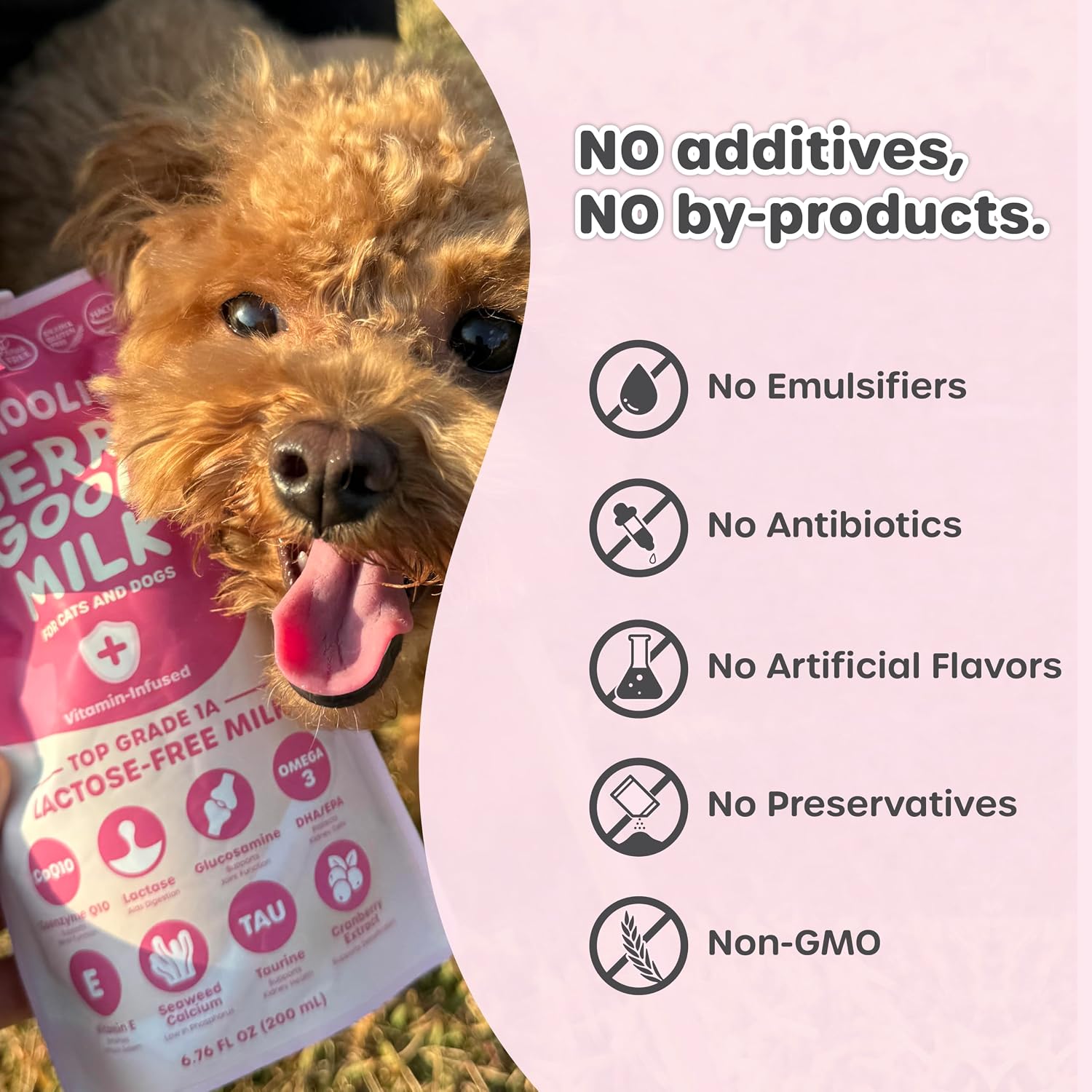 Choolip pet milk ingredients list highlighting omega 3 coq10 and taurine