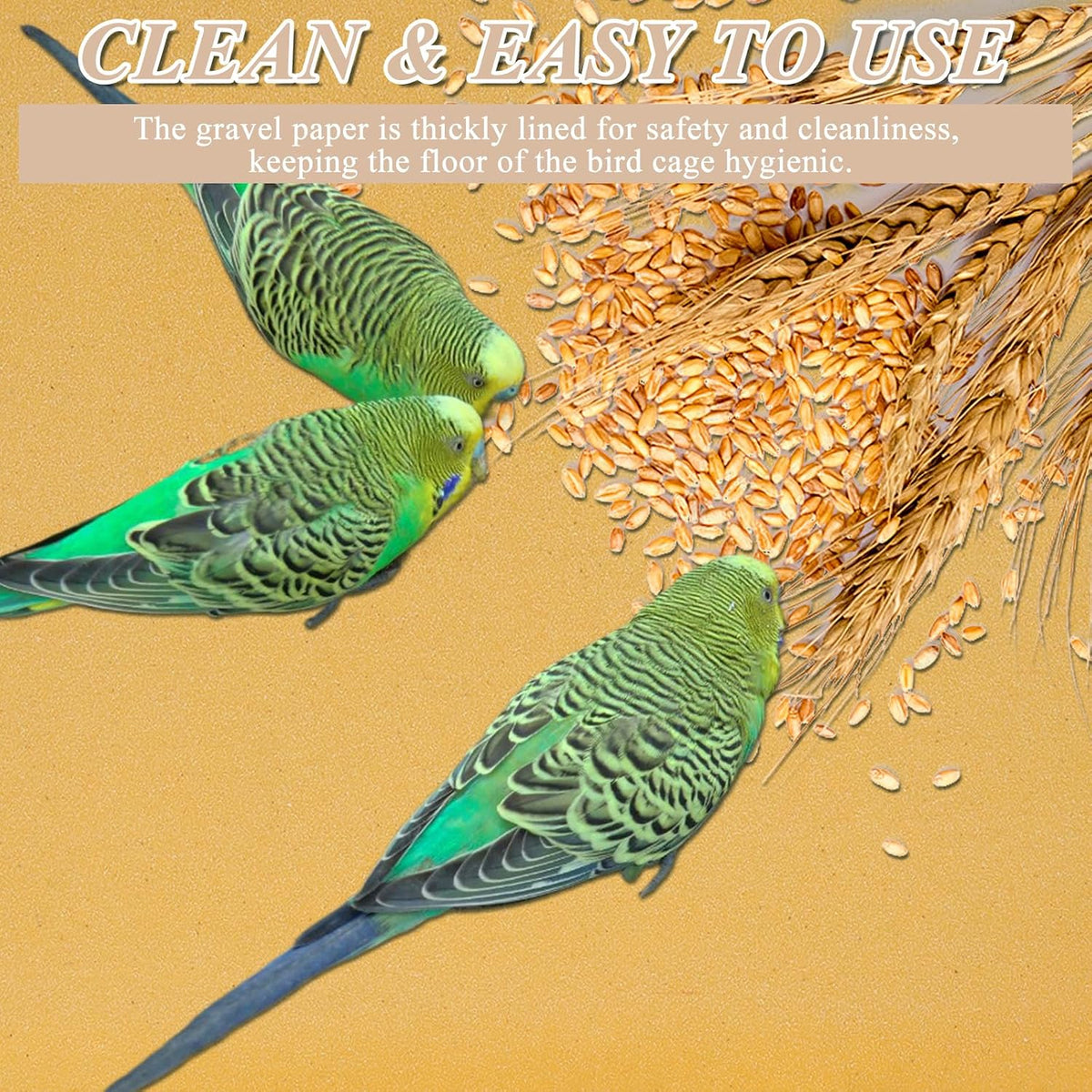 Bird inside cage with Oungy gravel paper liner on floor