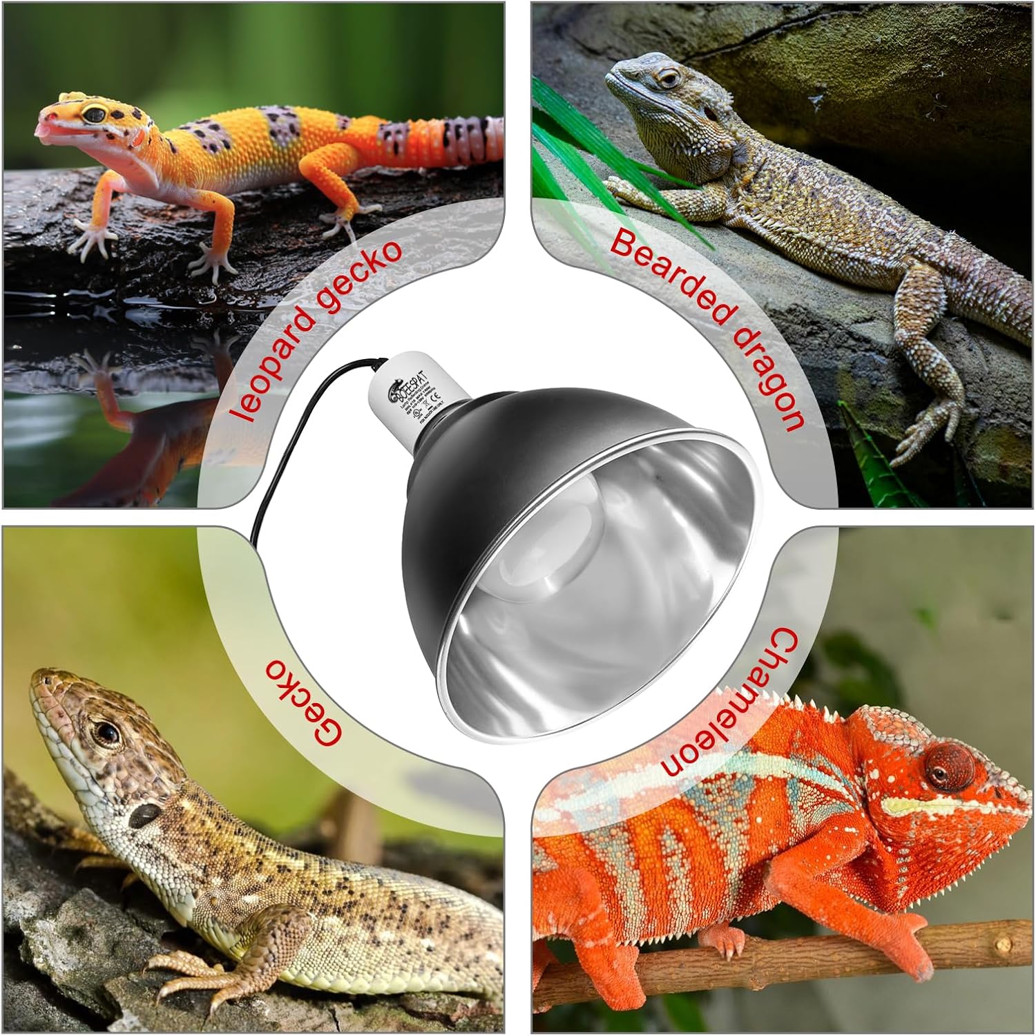BOEESPAT reptile dome light fixture showcasing top ventilation holes for heat dissipation.