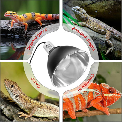 BOEESPAT reptile dome light fixture showcasing top ventilation holes for heat dissipation.
