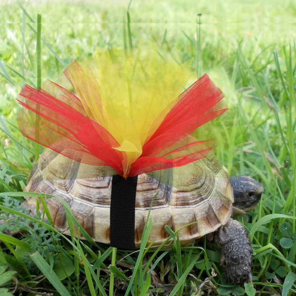Colorful tutu outfit for pet tortoise outdoor visibility.
