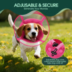 Side view of pink Kuoser protective e-collar for small pets post surgery