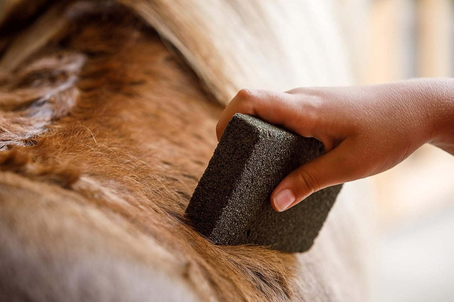Durable horse shedding block being used to clean saddle pads and blankets