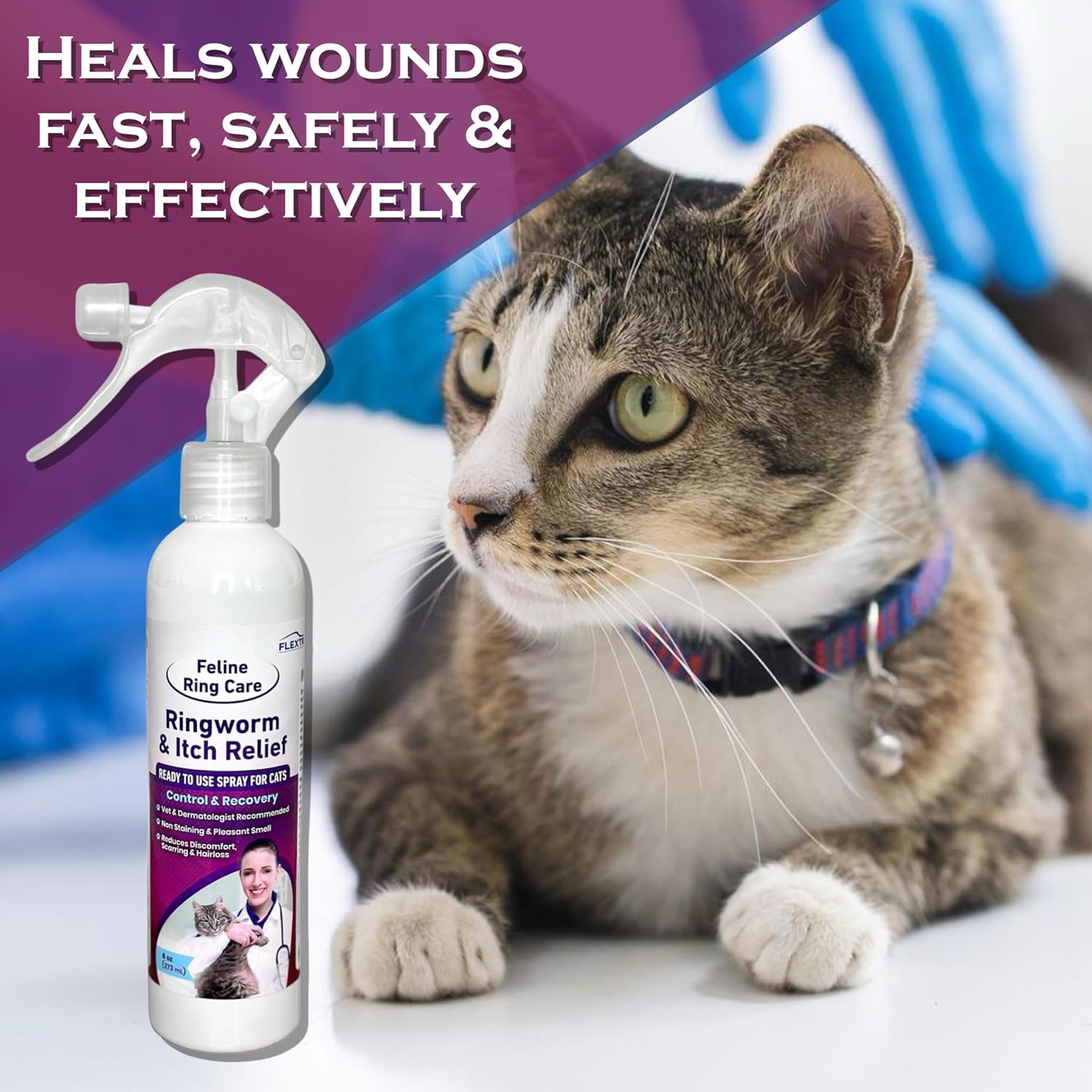 Veterinarian recommended pet ringworm spray back label info