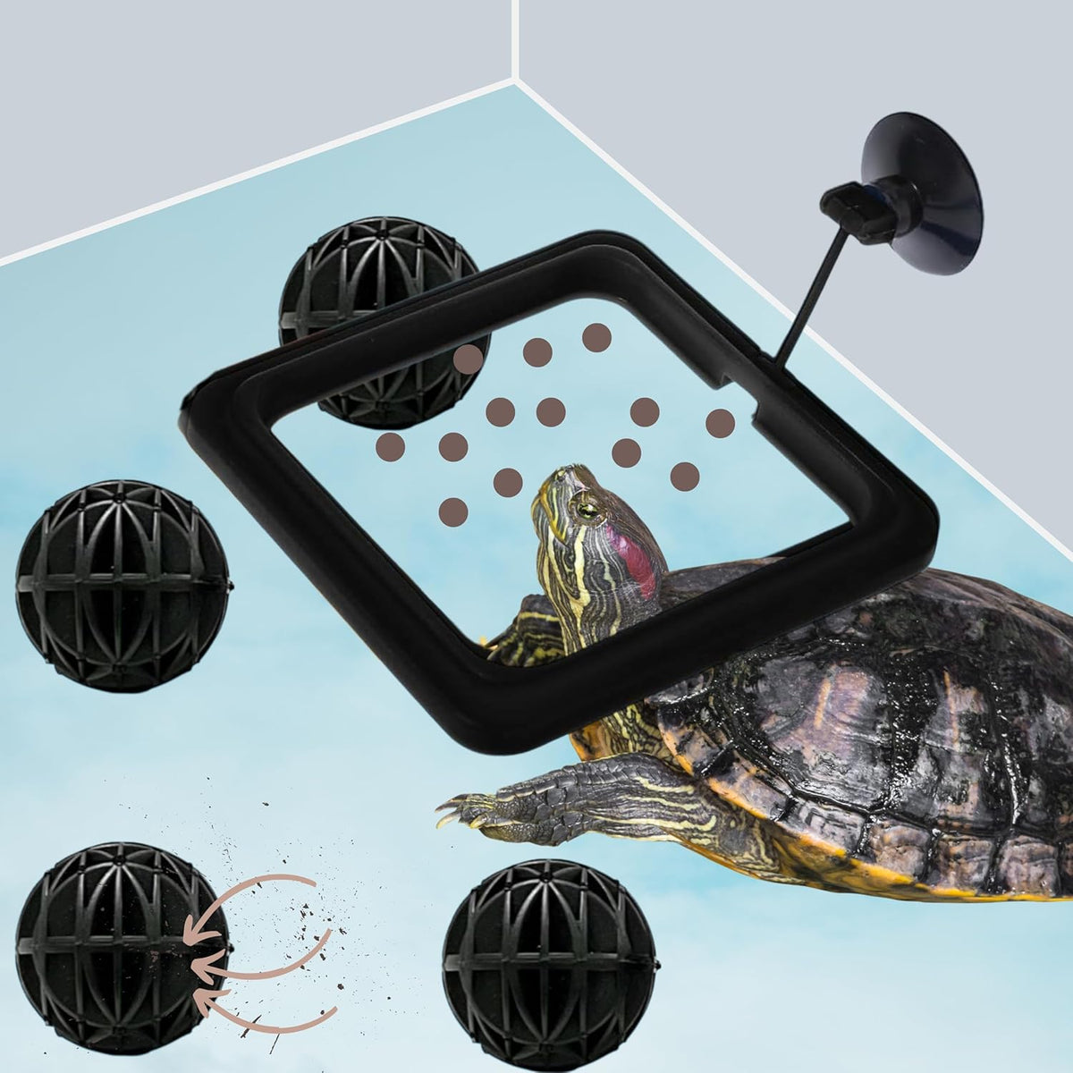 Homedy Crafts turtle feeding ring front view floating food holder in aquarium