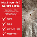 Using Skout's Honor spray on household carpet for pest prevention