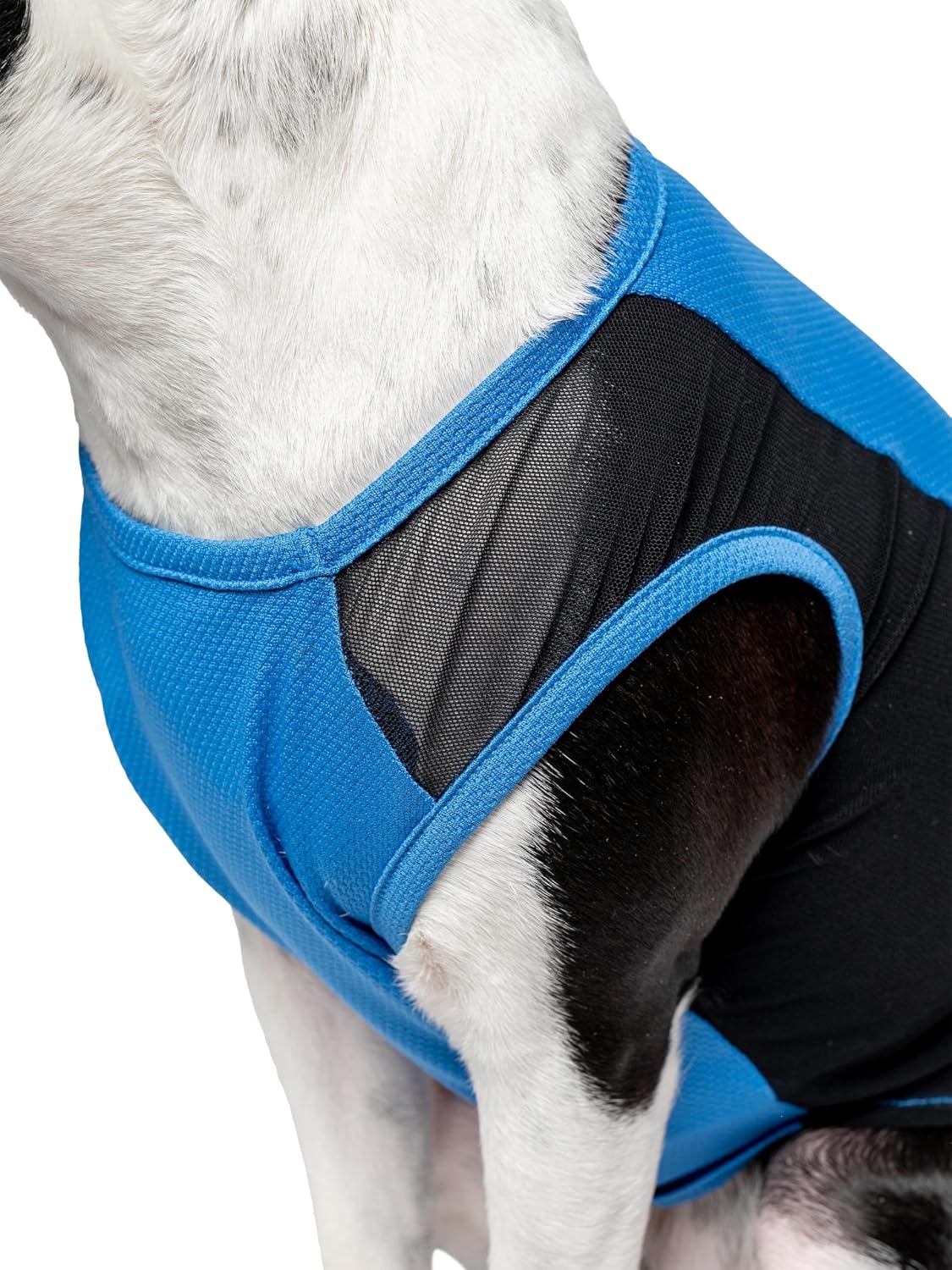 Imported bug and tick protection dog vest in lake blue color lightweight fabric