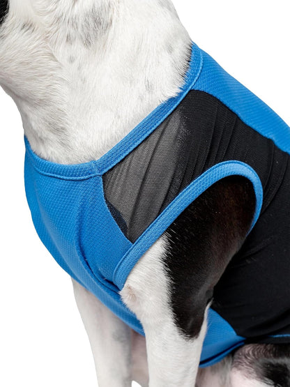 Imported bug and tick protection dog vest in lake blue color lightweight fabric