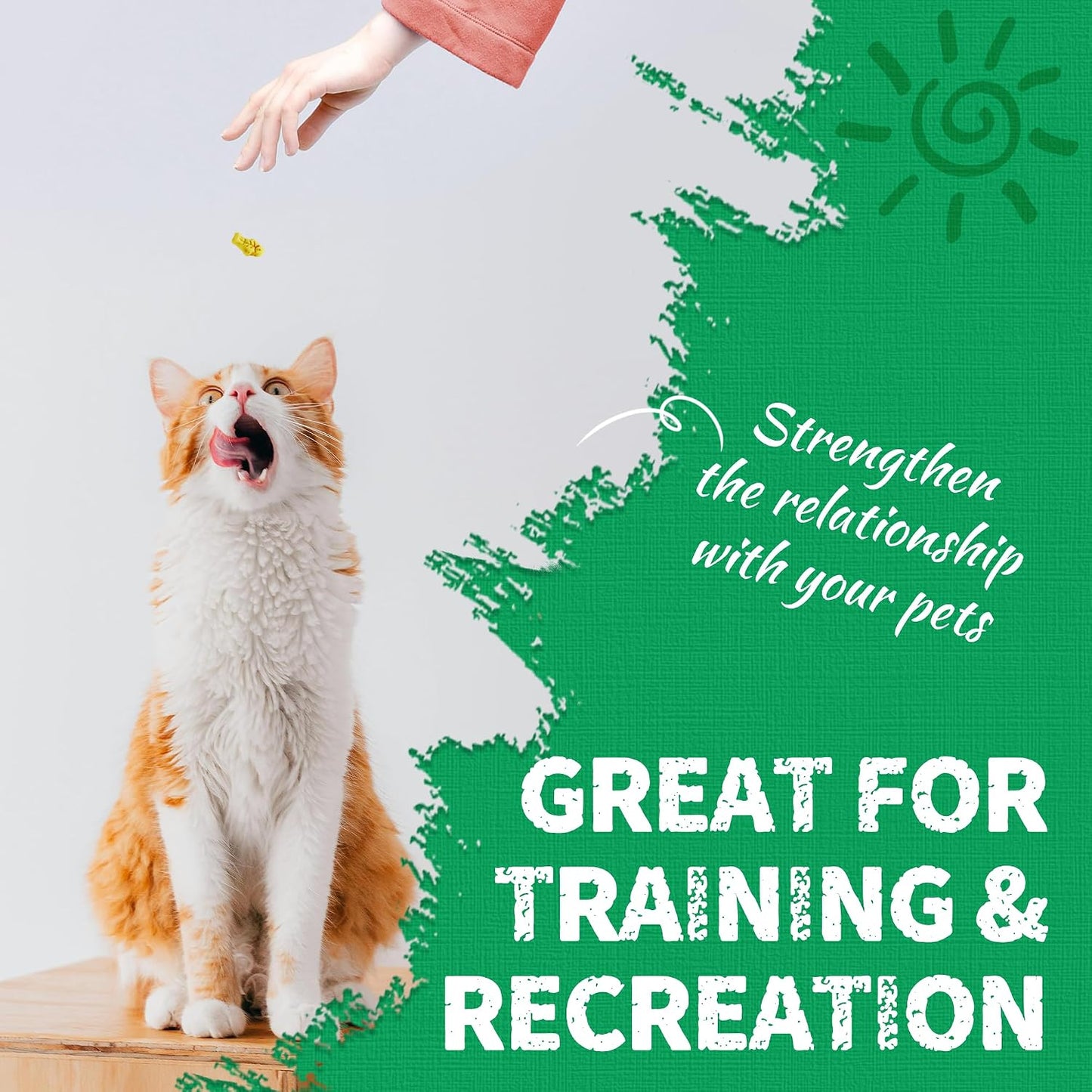 Just Try 13.4 OZ Crunchy Cat Treats Catnip Treats for Cats with Digestive Support, Natural Ingredients Kitten Treats with Real Salmon, Healthy Feline Snacks Training Biscuits Dental Care - Image 9