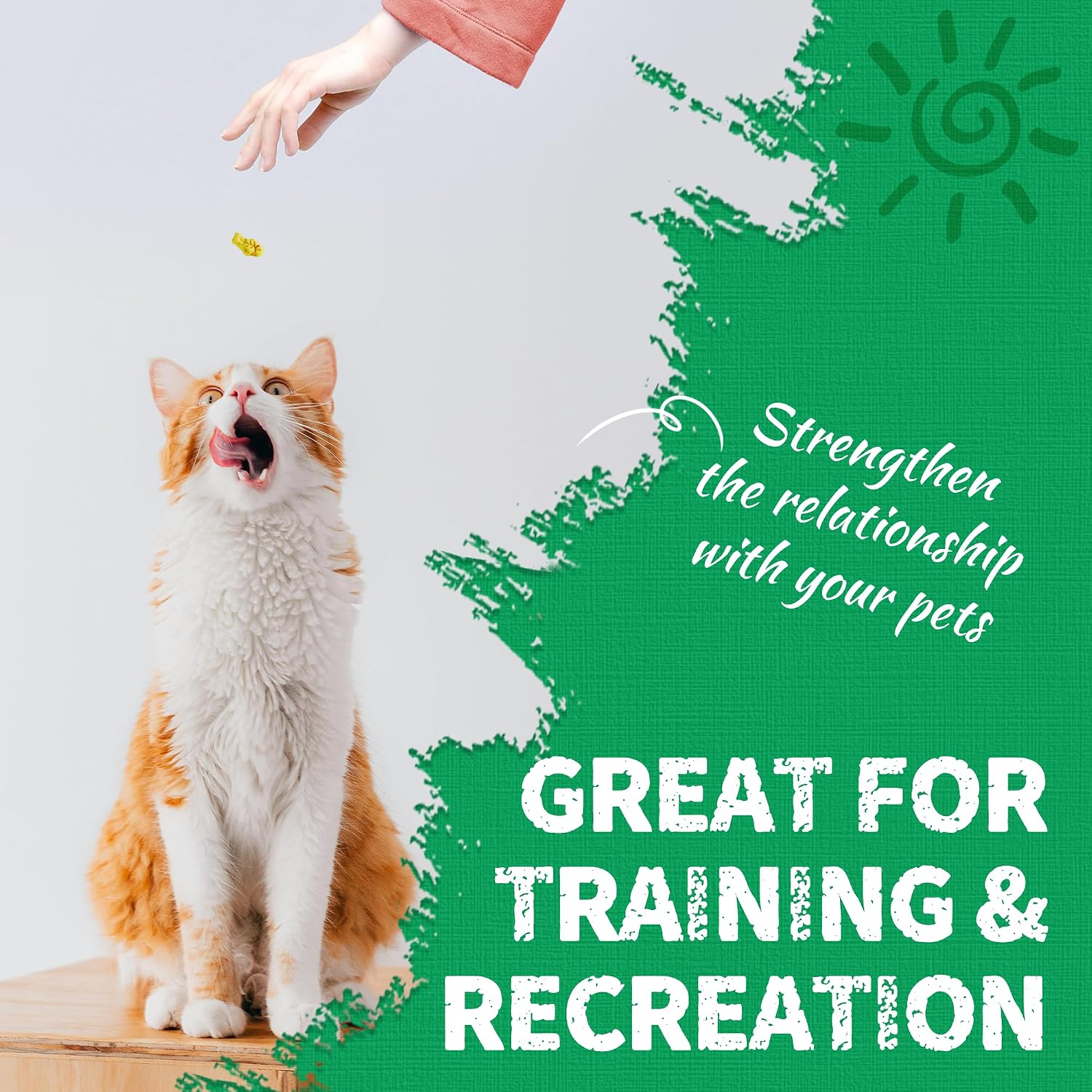 Just Try 13.4 OZ Crunchy Cat Treats Catnip Treats for Cats with Digestive Support, Natural Ingredients Kitten Treats with Real Salmon, Healthy Feline Snacks Training Biscuits Dental Care - Image 9