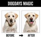 Premium imported USA dog deodorizer spray for long lasting odor control