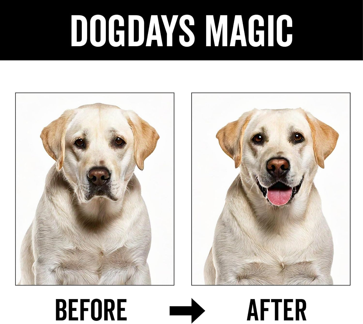 Premium imported USA dog deodorizer spray for long lasting odor control