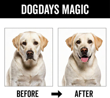 Premium imported USA dog deodorizer spray for long lasting odor control