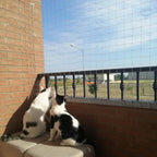 Anti bird netting for garden and balcony use