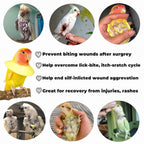 Budgerigar bird wearing a soft lightweight protective cone to prevent feather plucking