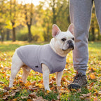 Side view of dog wearing comfortable functional sweatshirt