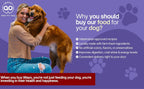 Premium human grade turkey dog food meal serving suggestion