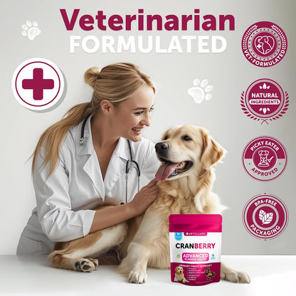 Premium cranberry extract chewable treats for dog bladder comfort and incontinence.